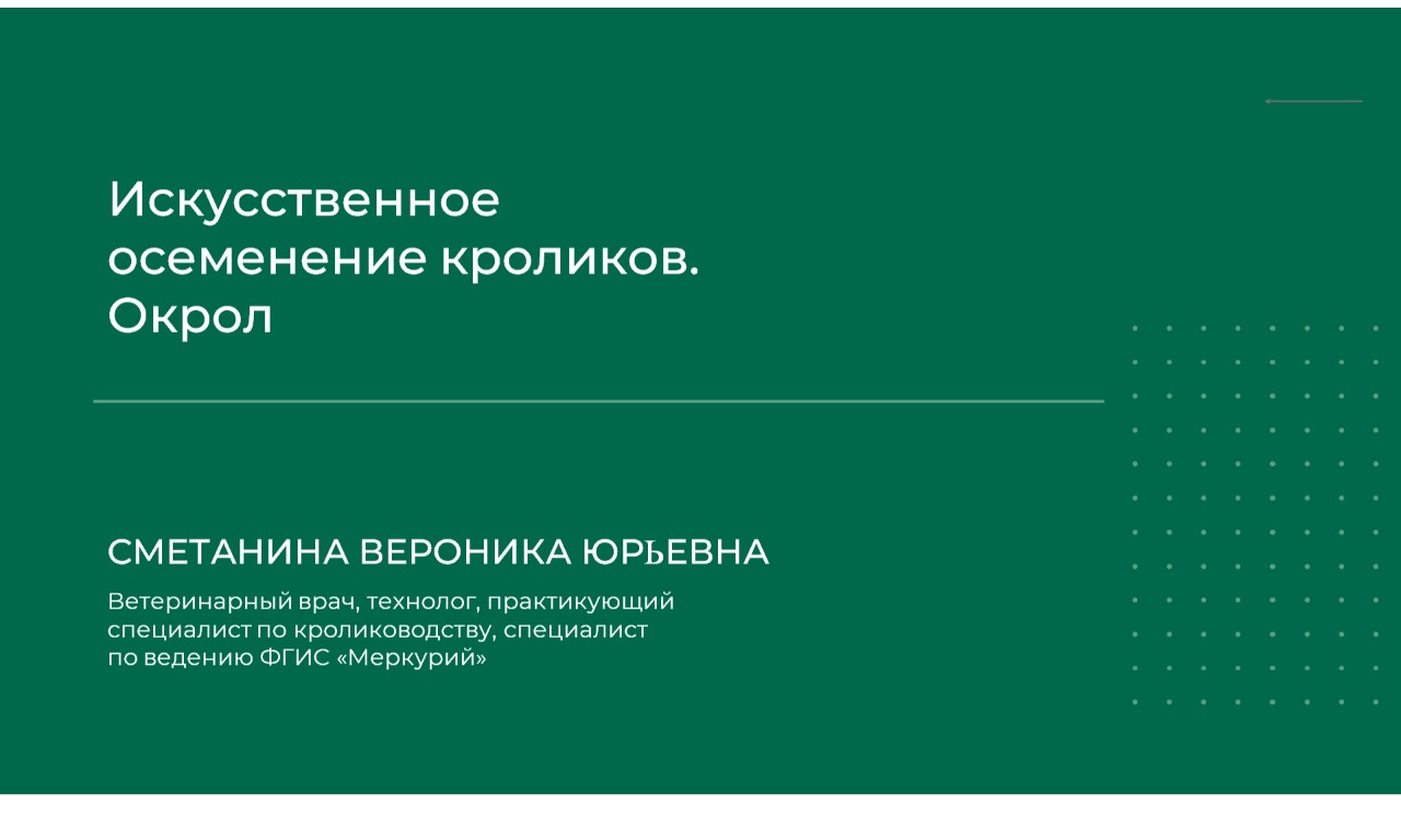 [Вероника Сметанина] Искусственное осеменение крол_0.jpg